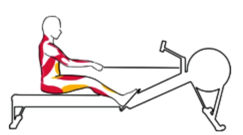 PHASE PROPULSION RAMEUR