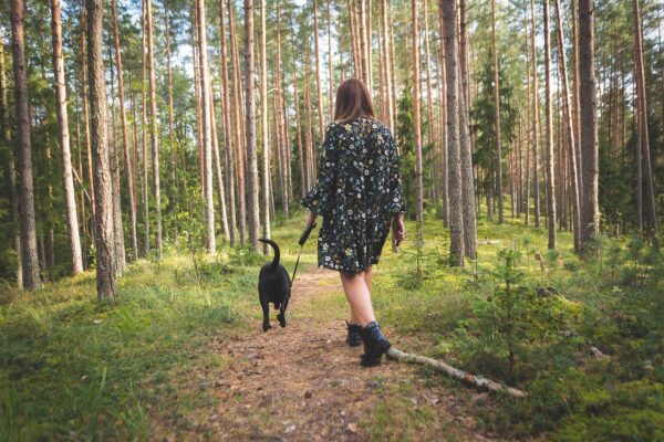 dog-4609870_1280 Les bienfaits de la marche