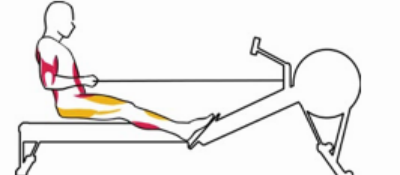 FIN DE COURSE PHASE DE RETOUR EN RAMEUR