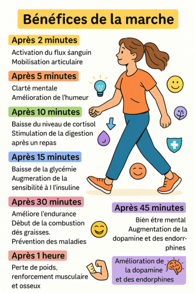 Les bienfaits de la marche