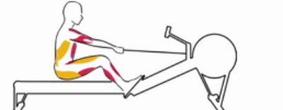 TRACTION PHASE TRACTION EN RAMEUR